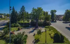 Zdjęcia Lotnicze 2018 42