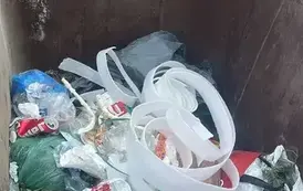 Raginisa 9