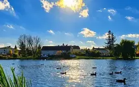 Zambr&oacute;w jesienią 2026 fot. J. Kurpiewska (10)