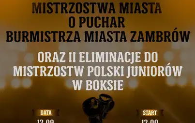 Mistrzostwa Miasta o Puchar Burmistrza Miasta oraz II Eliminacje do Mistrzostw Polski Juniorów w Boksie