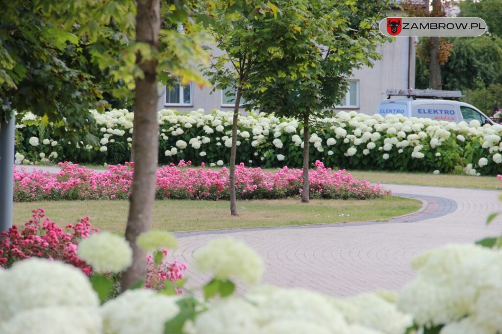 Zielony Zambrów, 19.07.2023r. fot. J. Włodkowska - Kurpiewska